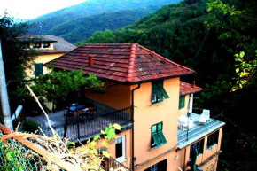 Fontana's House Relax